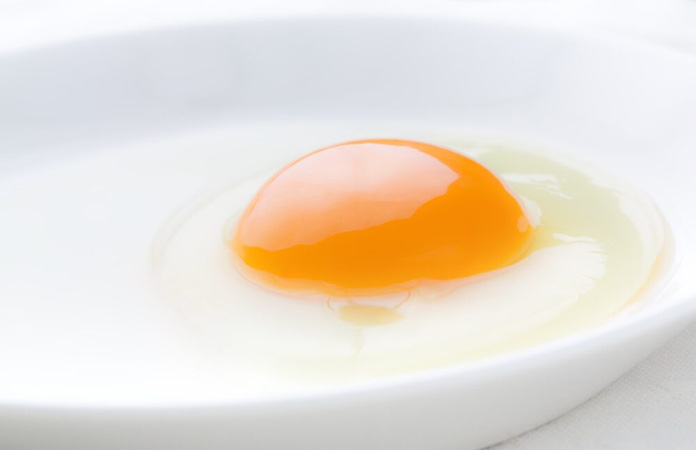 卵は優秀なタンパク源